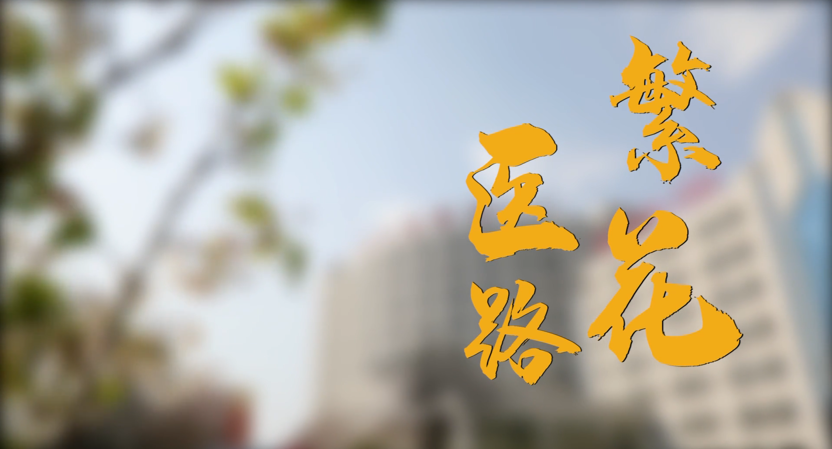 党建瞭望 医路繁花