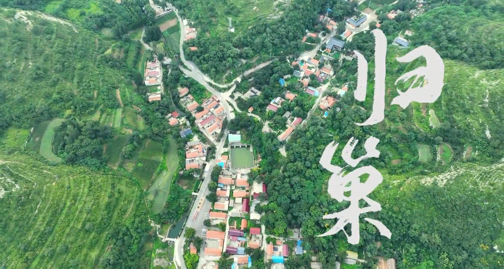 归巢
