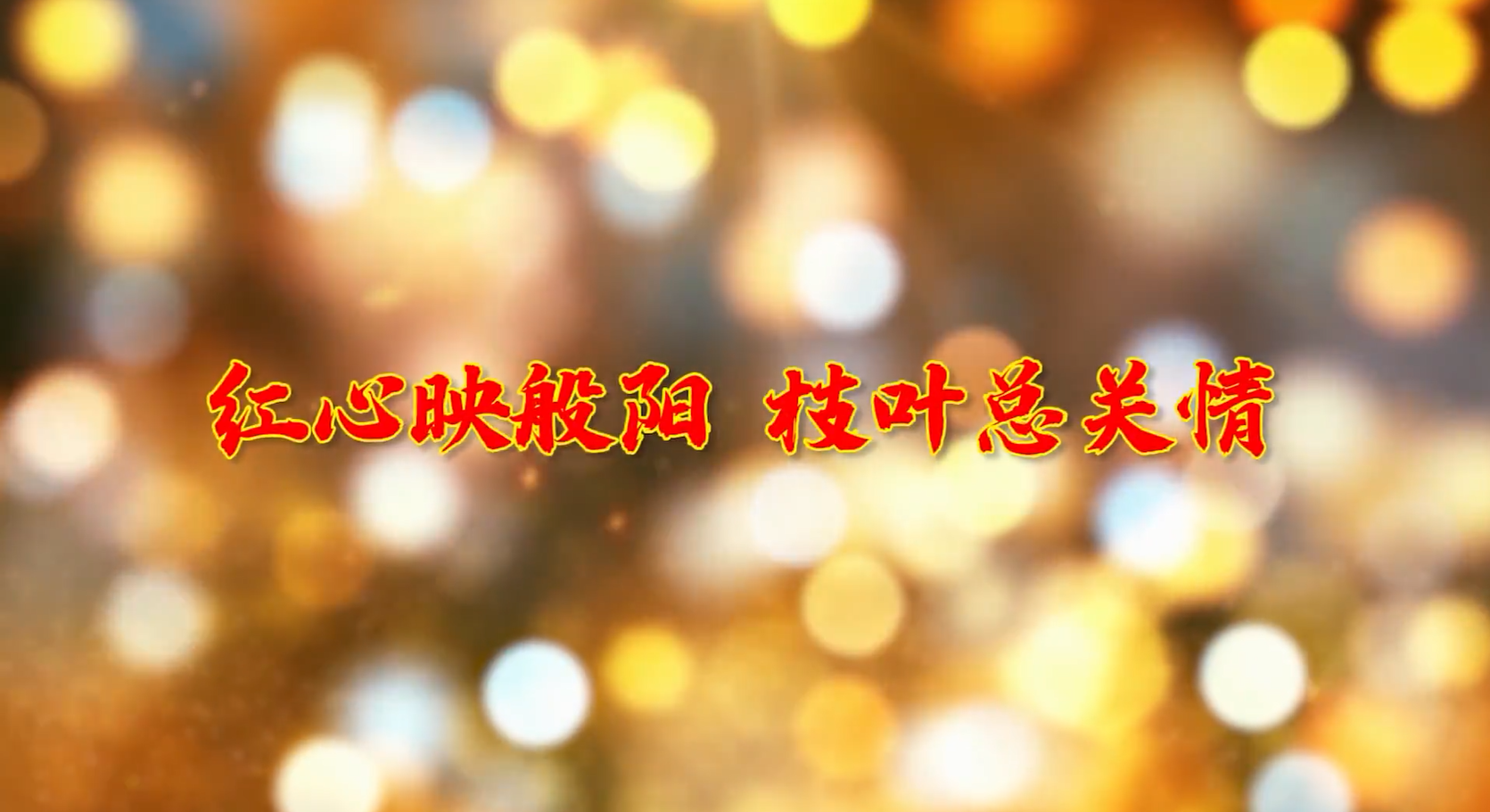 红心映般阳 枝叶总关情