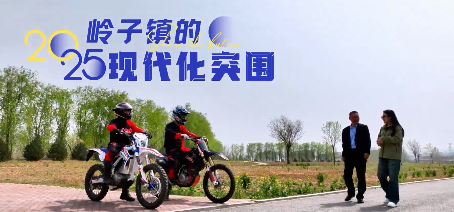 一线拼比看 聚力新作为—《岭子镇的现代化突围》