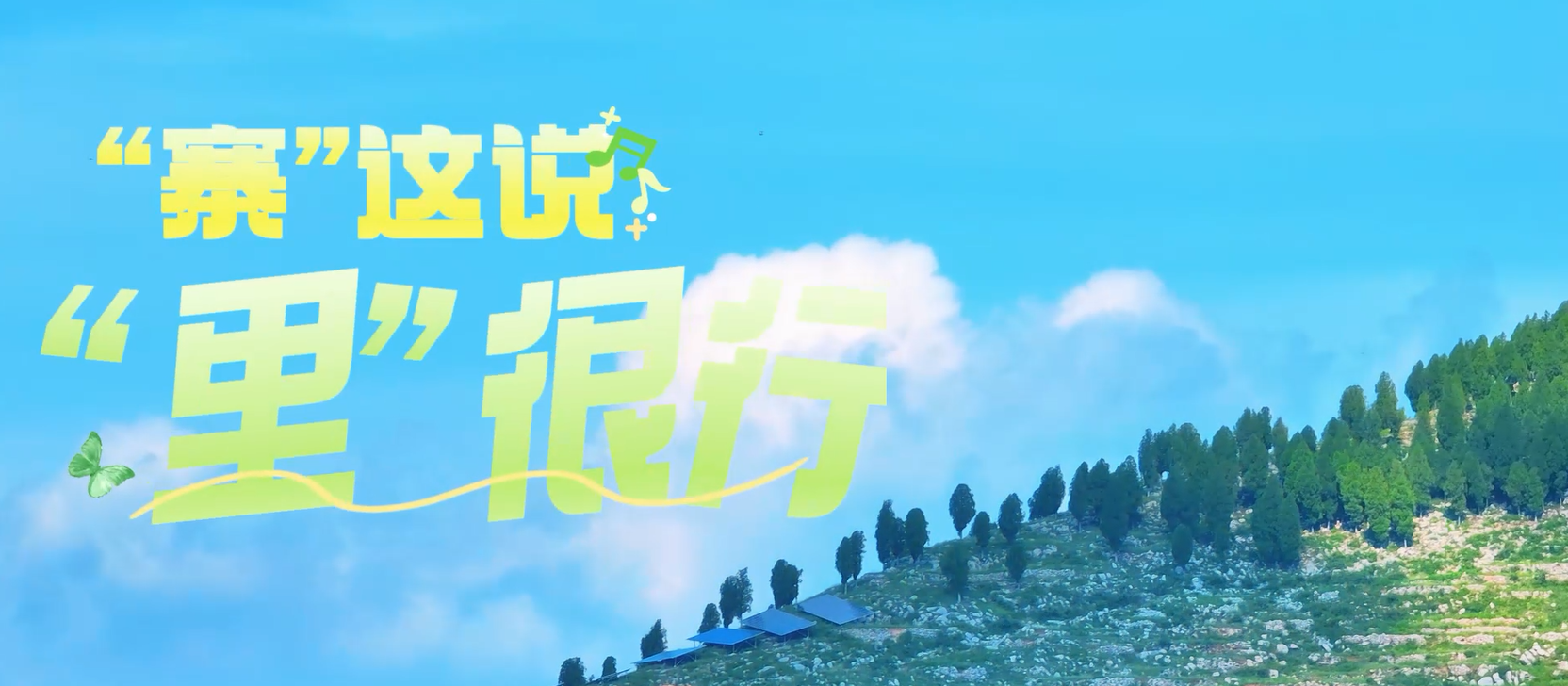 一线拼比看 聚力新作为—《寨里镇：“寨”这说“里”很行》